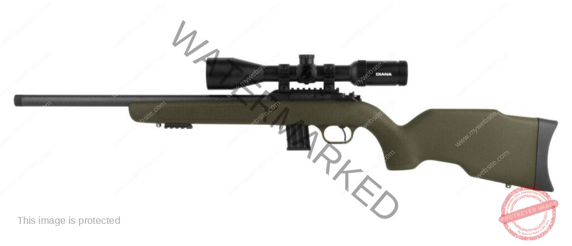Buy DIANA R-22 Carbon Set .22lr - bolt-action rifle