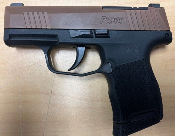 sig-p365-9mm, buy-sig-p365