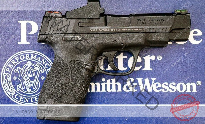 Shield M2.0 9mm for sale Petoskey